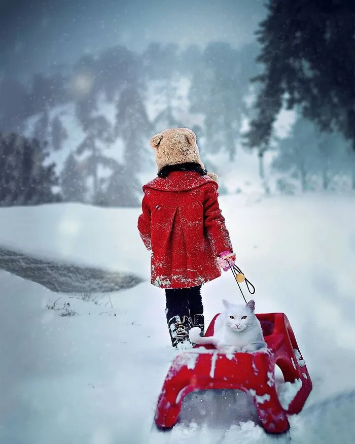 33 Stunning Childhood Portraits From Around The World, Curated By The ‘Photocrowd’ Page