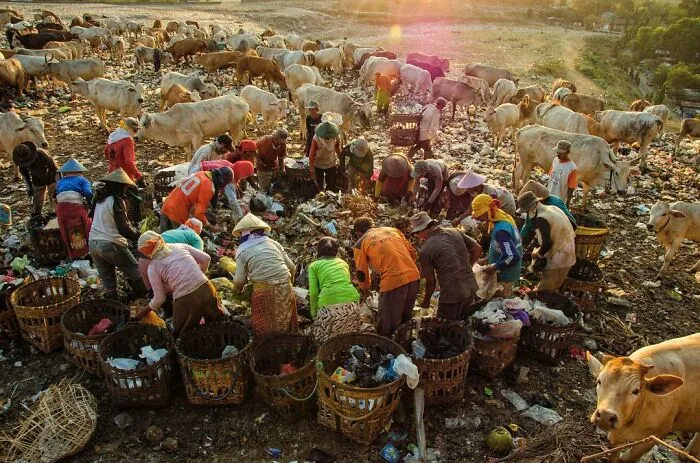 "One Man's Trash Is Another Man's Treasure"