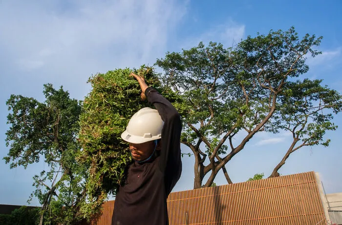 This Photographer Captured 50 Interesting Coincidences In The Streets (New Pics)