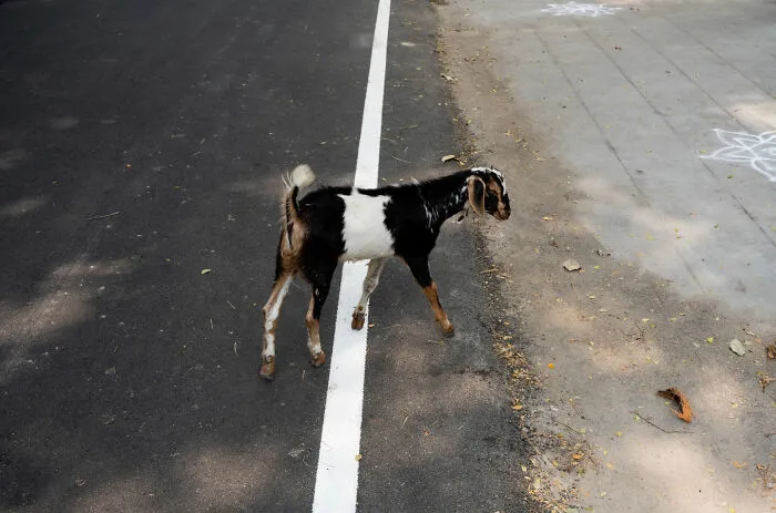 This Photographer Captured 50 Interesting Coincidences In The Streets (New Pics)