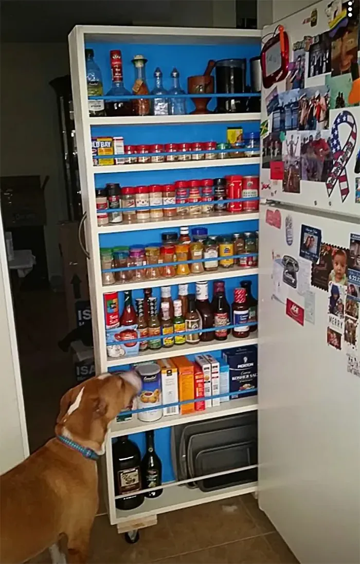 “Fill The Gap” Pantry