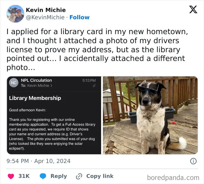 We’ve Gathered Funny Posts From X, Here Are The 50 Best Ones