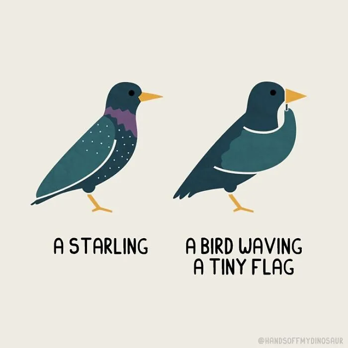 A Whimsical World Of Words: Teo Zirinis' 20 New Pun Illustrations And Their Silly Opposites