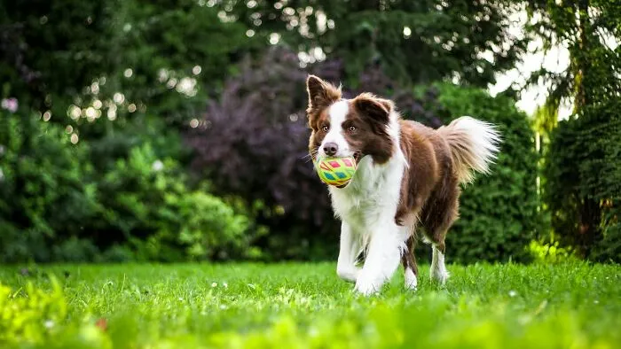 30 Parents Open Up About Playdates That Went So Bad No One Could’ve Predicted It