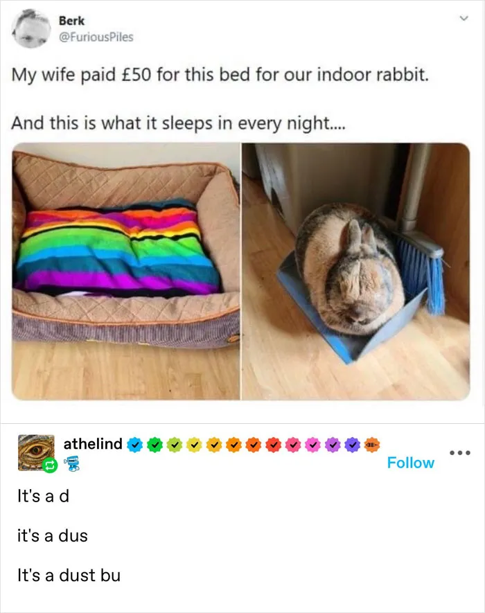 50 Hilarious Animal Memes That Might Make Your Day At Least Slightly Better