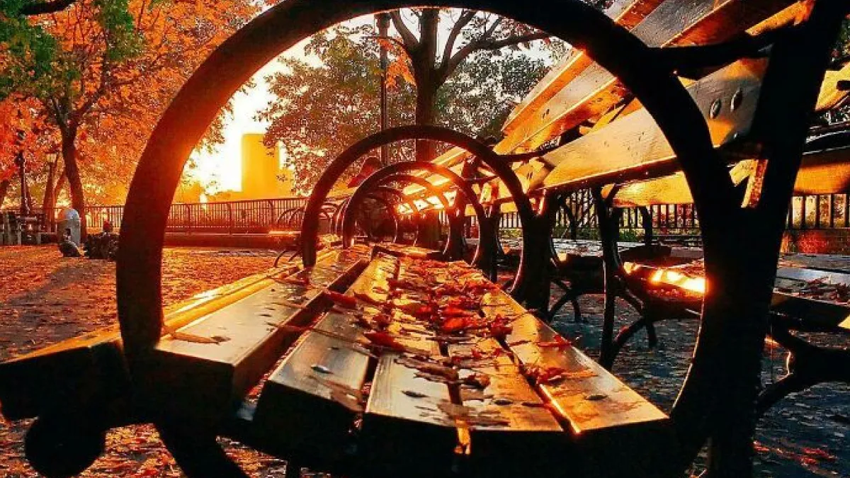 Celebrate The Beauty Of Fall Foliage And Autumn Leaf Colors With 50 Stunning Photos Of The Season