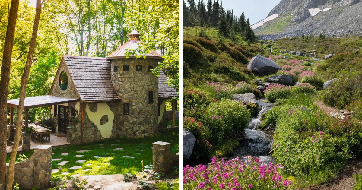 25 Personas viviendo sus sueños "cottagecore"