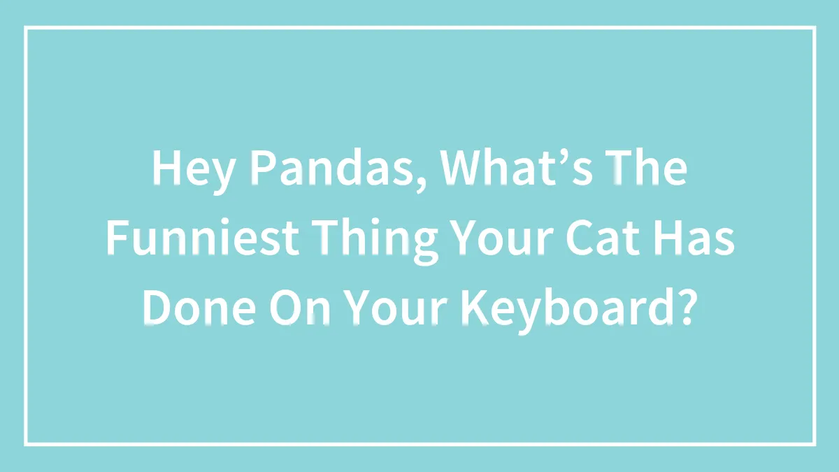 Hey Pandas, What’s The Funniest Thing Your Cat Has Done On Your Keyboard? (Closed)