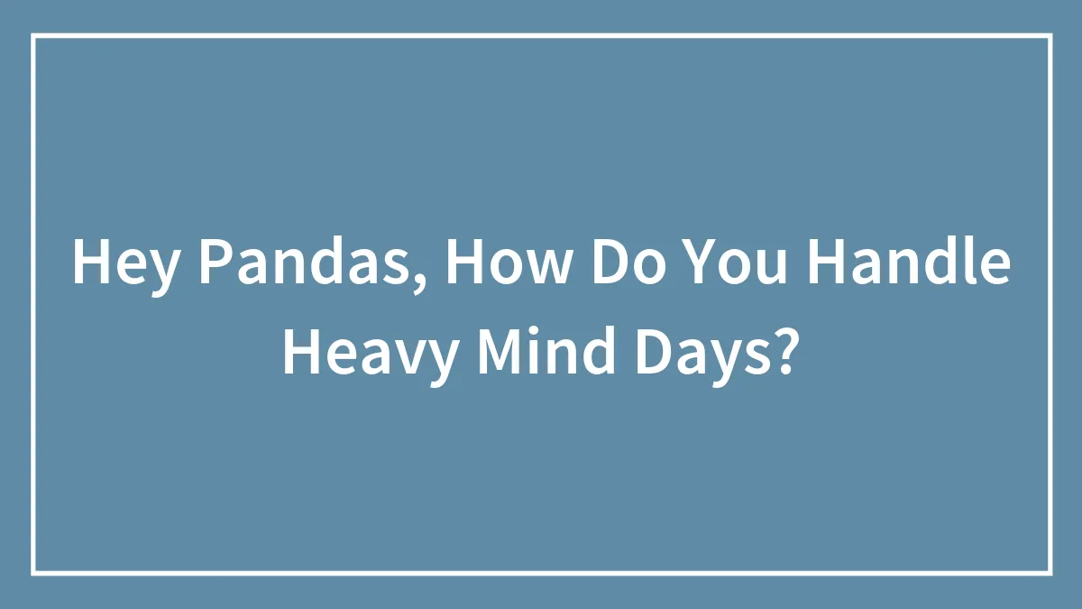 Hey Pandas, How Do You Handle Heavy Mind Days? (Closed)
