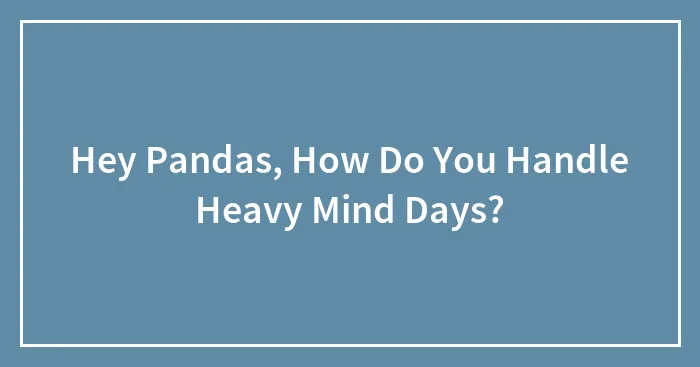 Hey Pandas, How Do You Handle Heavy Mind Days? (Closed)