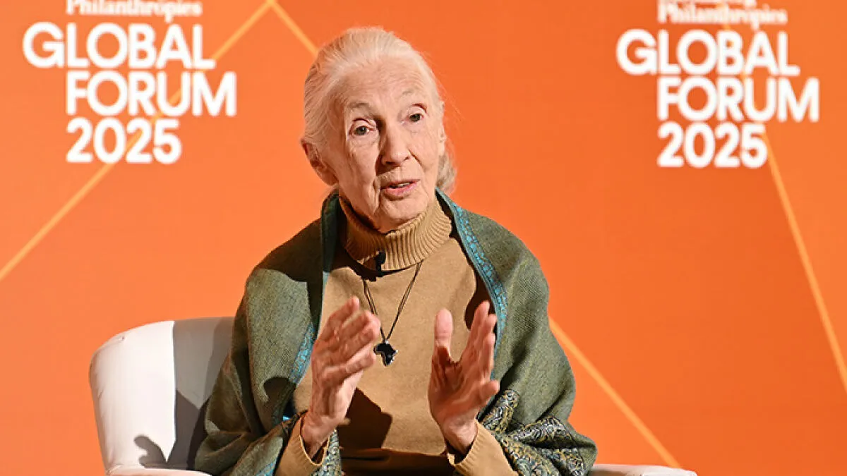 Jane Goodall, Legendary Chimpanzee Expert And Animal Advocate, Passes Away At 91