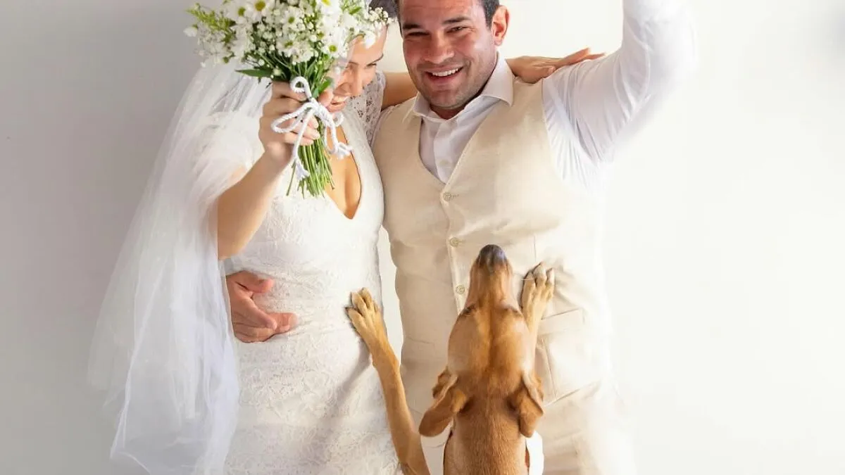 Stray Dog Crashes A Wedding And Leaves With A Forever Family