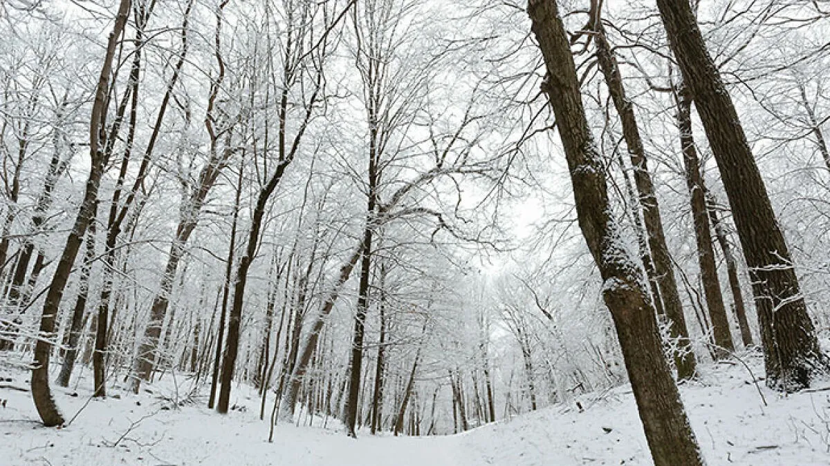 16YO Dad Covered Newborn Baby In Snow, Fired At Her Head Because He And Mom Didn’t Want Her