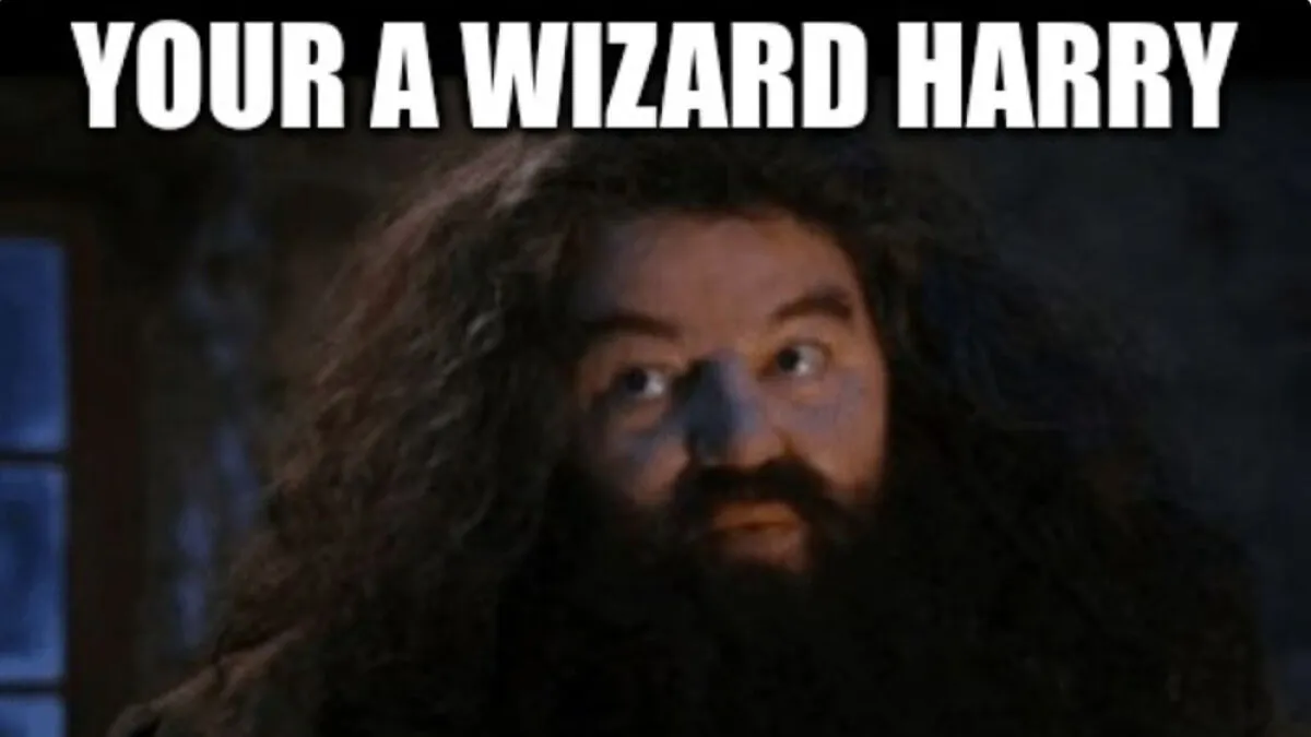 You Don’t Have To Be A Wizard To Laugh At These 40 Harry Potter Memes (38 New Pics)