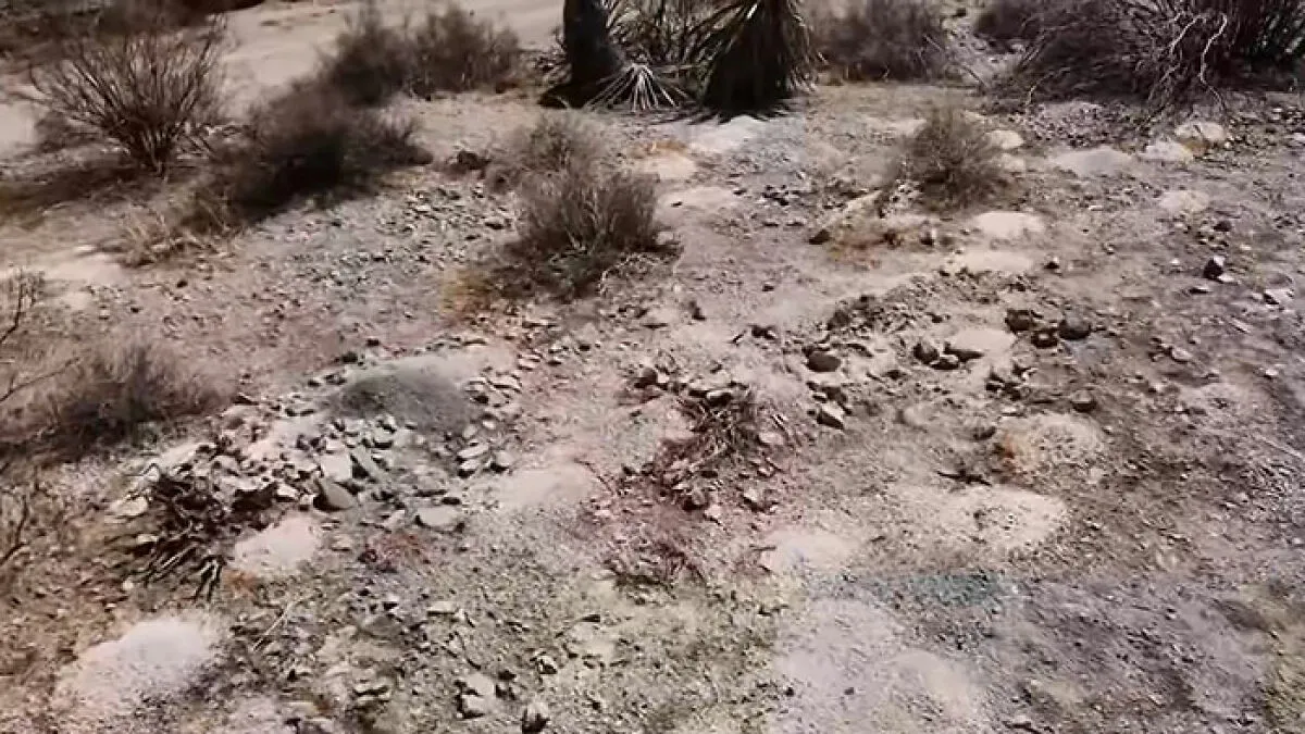 Urgent Investigation Launched After Hundreds Of Piles Of Human Remains Discovered In Las Vegas Desert