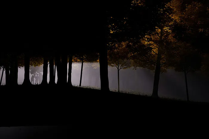 Dark forest with eerie fog and shadowy trees, evoking spooky urban legends from cities around the world for Halloween.