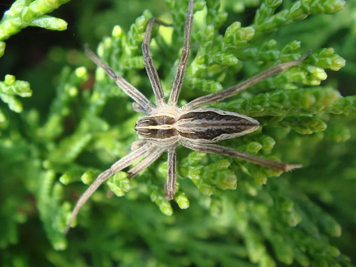 45 Terrifying Moments People Discovered Something Deeply Wrong In Their Own House