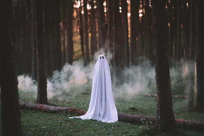 45 Terrifying Moments People Discovered Something Deeply Wrong In Their Own House