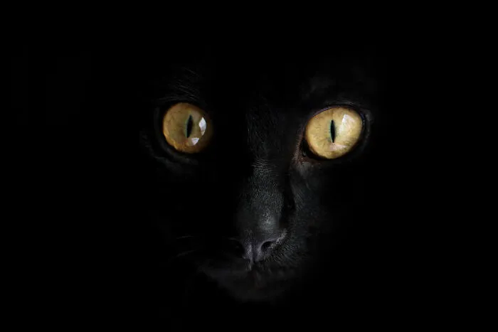 45 Terrifying Moments People Discovered Something Deeply Wrong In Their Own House