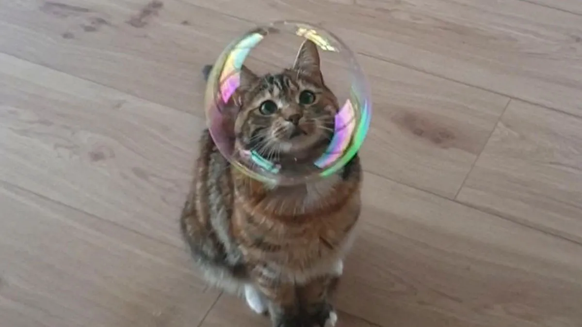 43 Animals So Happy, It Might Paint A Smile On Your Face