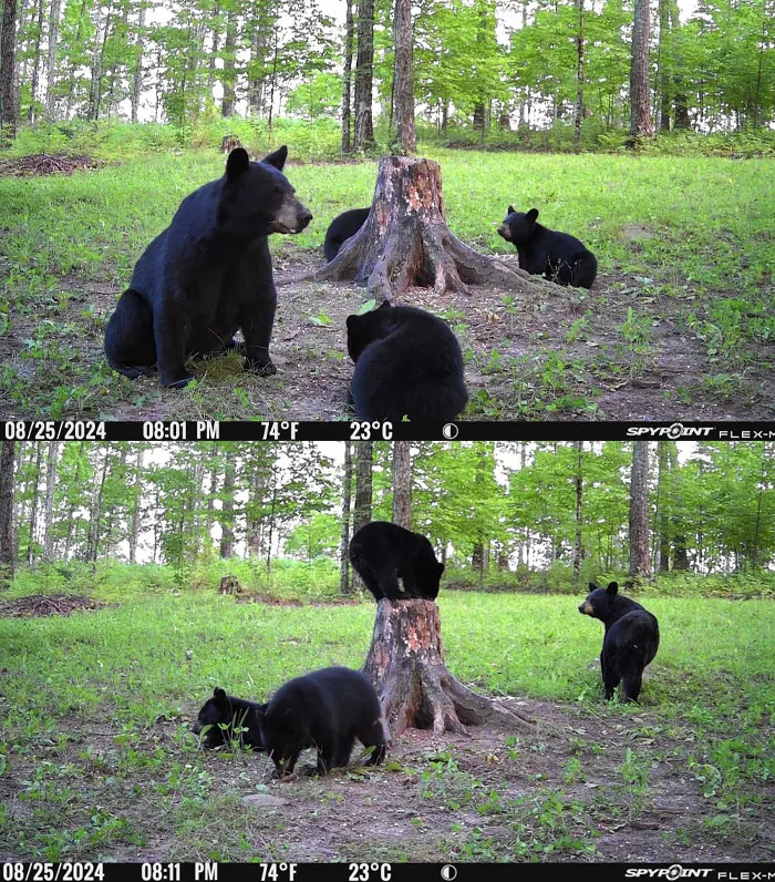 Kids Playing Around