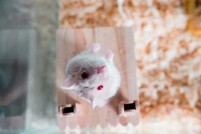 Scientists Reveal 37 Of The Most Terrifying Things That Went Wrong In Their Labs