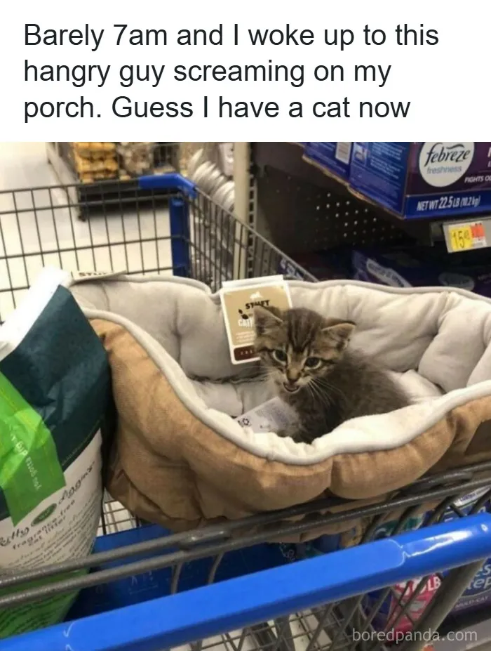 50 Hilarious Photos That Might Make You Love Animals Even More