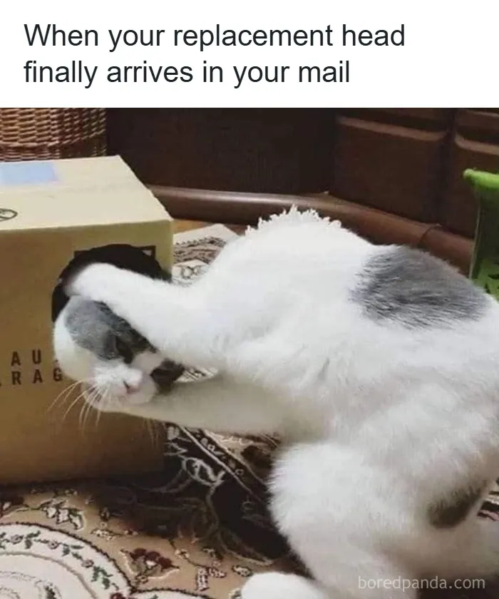 50 Hilarious Photos That Might Make You Love Animals Even More