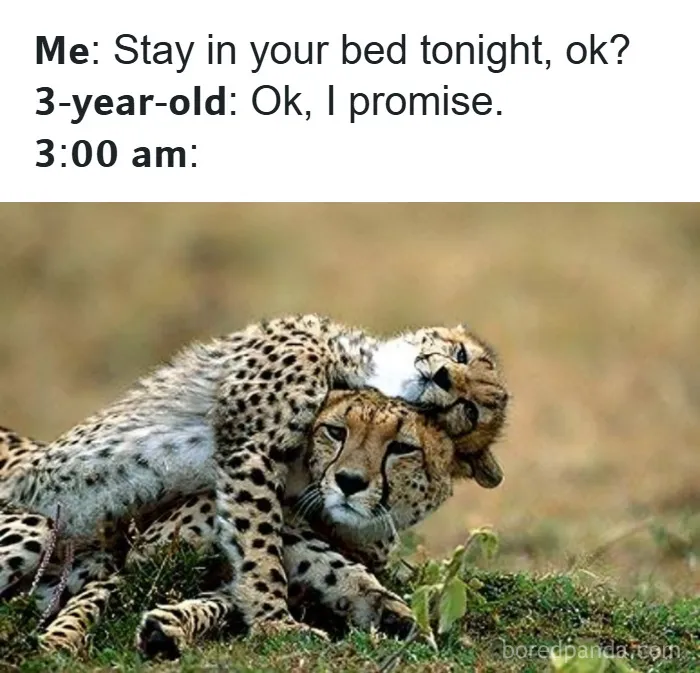 50 Hilariously Relatable Memes That Appreciate Parents More Than Their Kids Ever Will