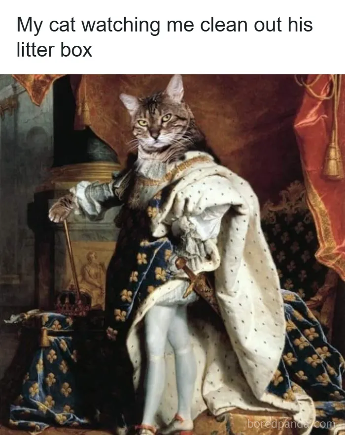 50 Classical Art Memes That Prove People Haven’t Changed In 500 Years