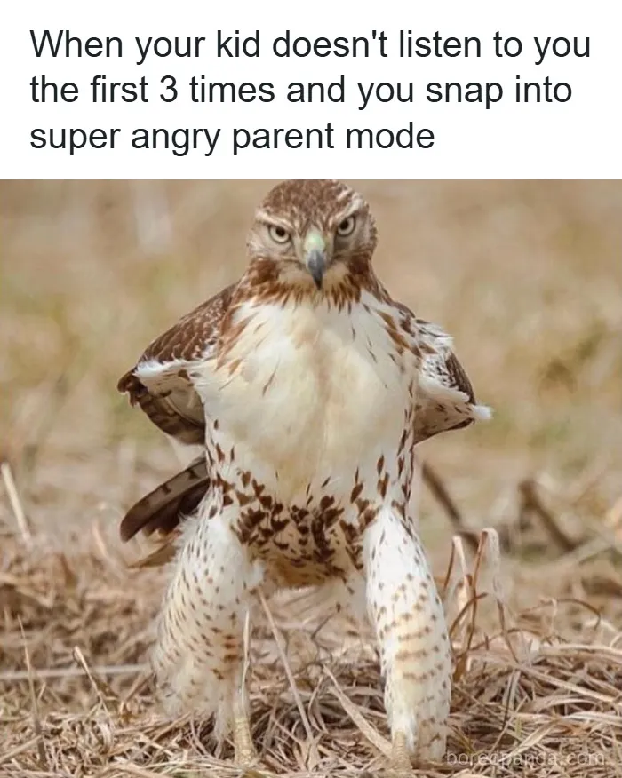 50 Hilariously Relatable Memes That Appreciate Parents More Than Their Kids Ever Will
