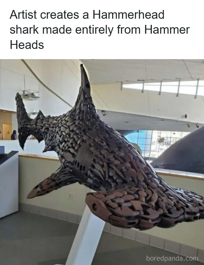 50 Hilarious Animal Memes That Might Make Your Day At Least Slightly Better