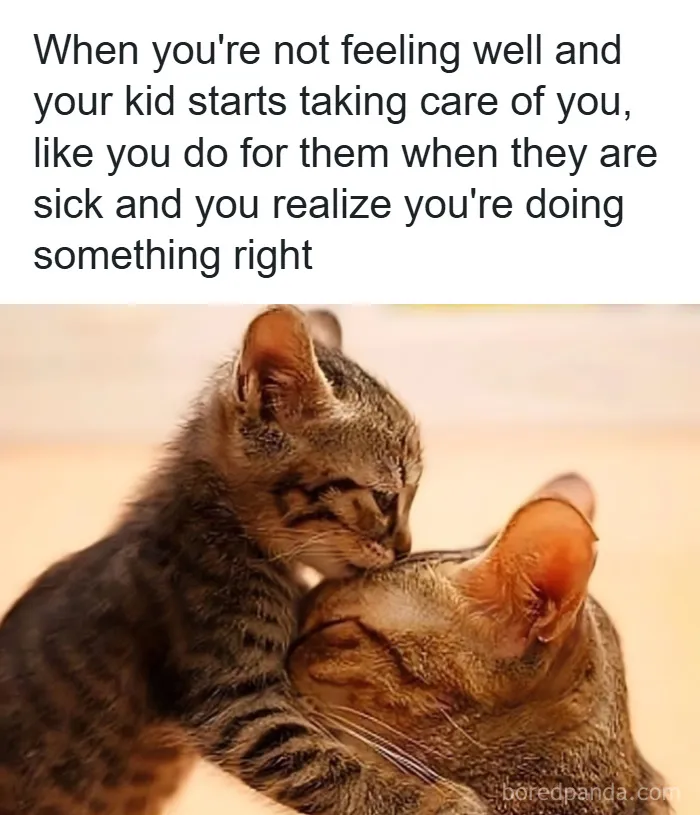 50 Hilariously Relatable Memes That Appreciate Parents More Than Their Kids Ever Will