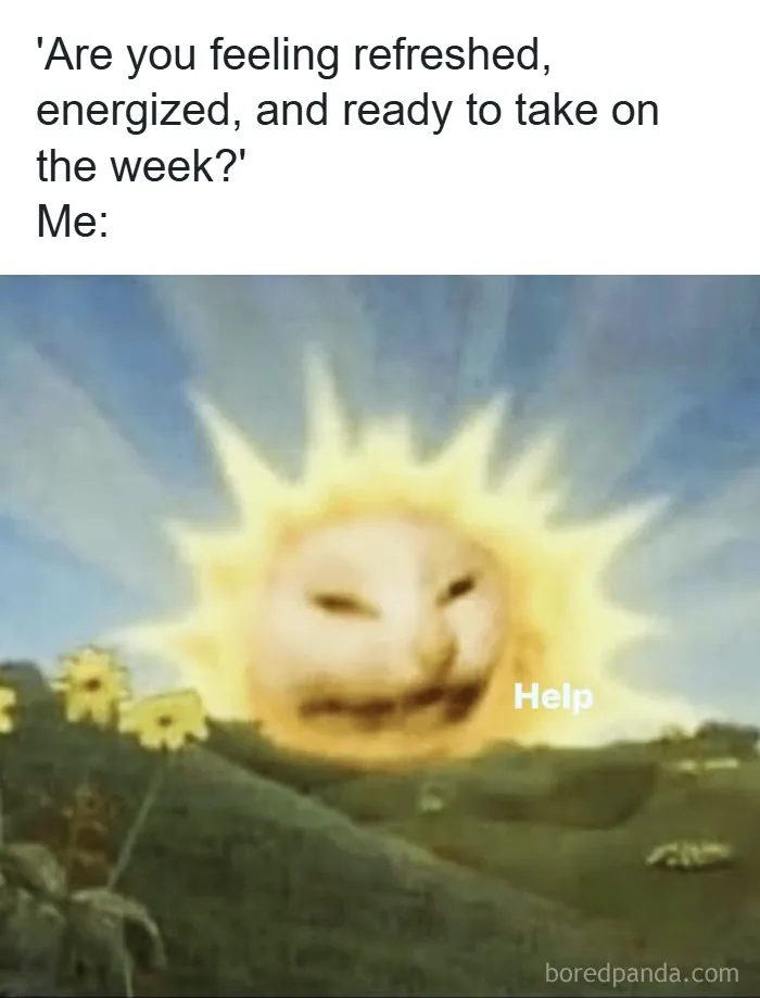 Sun with a distressed cat face in a field of flowers, a relatable meme about coping with anxiety.