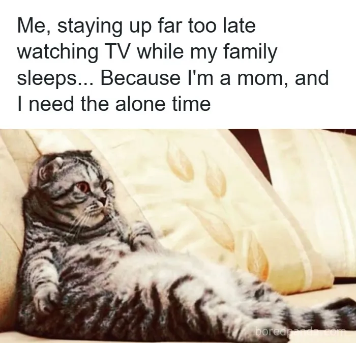 50 Hilariously Relatable Memes That Appreciate Parents More Than Their Kids Ever Will