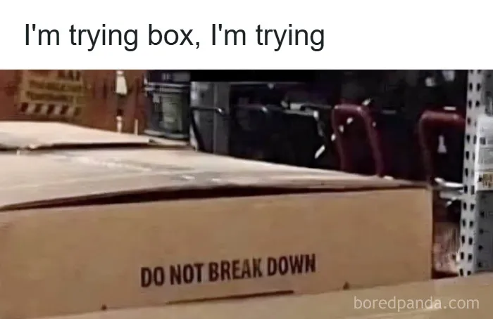 Large cardboard box in a warehouse with the text do not break down, relatable meme about coping with anxiety.