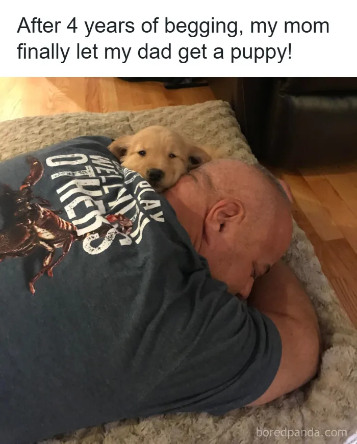 50 Animal Memes That Remind Us Life’s Better With A Little Fur And Chaos (New Pics)