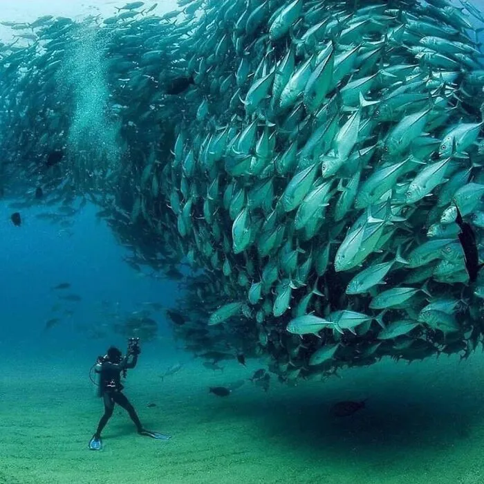 This Account Shares Some Of The Most Beautiful Wildlife Photos Ever Taken (25 Pics)