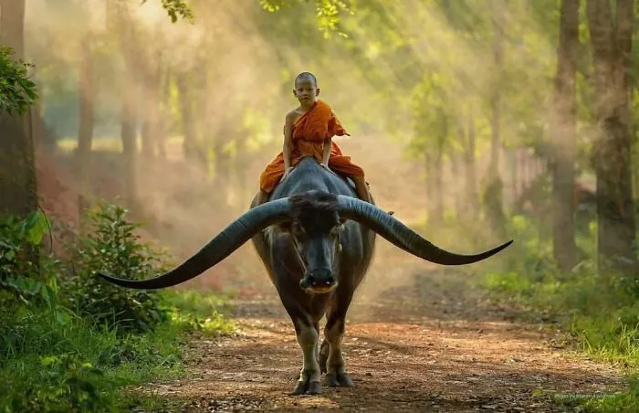 33 Stunning Childhood Portraits From Around The World, Curated By The ‘Photocrowd’ Page