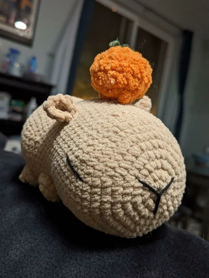 Zen Capybara