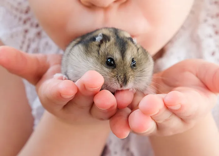 48 People Share Their Most Embarrassing Childhood Moments They Never Recovered From