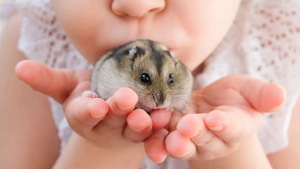 48 People Share Their Most Embarrassing Childhood Moments They Never Recovered From