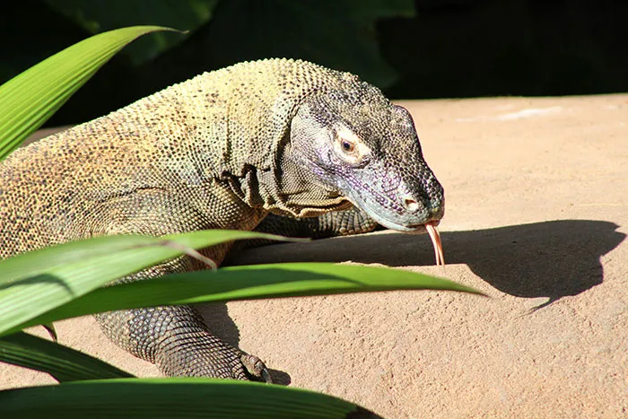 43 Facts So Weird You Might Think They’re Made Up (But They’re Not)