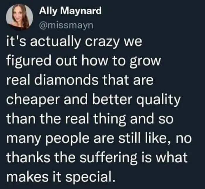 Screenshot of a meme from the Fight The Patriarchy page about growing real diamonds and suffering's perceived value.
