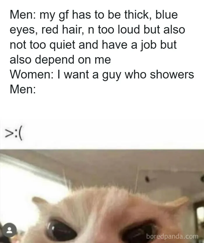 A meme from Fight The Patriarchy page showing a cat with angry eyes reacting to relationship expectations.