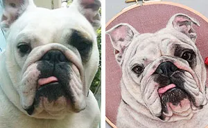 40 Handmade Pet Portraits That Capture Every Fluff And Whisker