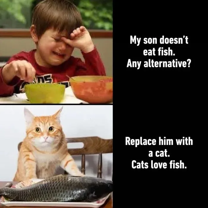 'Give Me Cat Memes': 50 Funny Cat Memes To Brighten Your And Your Pet’s Day
