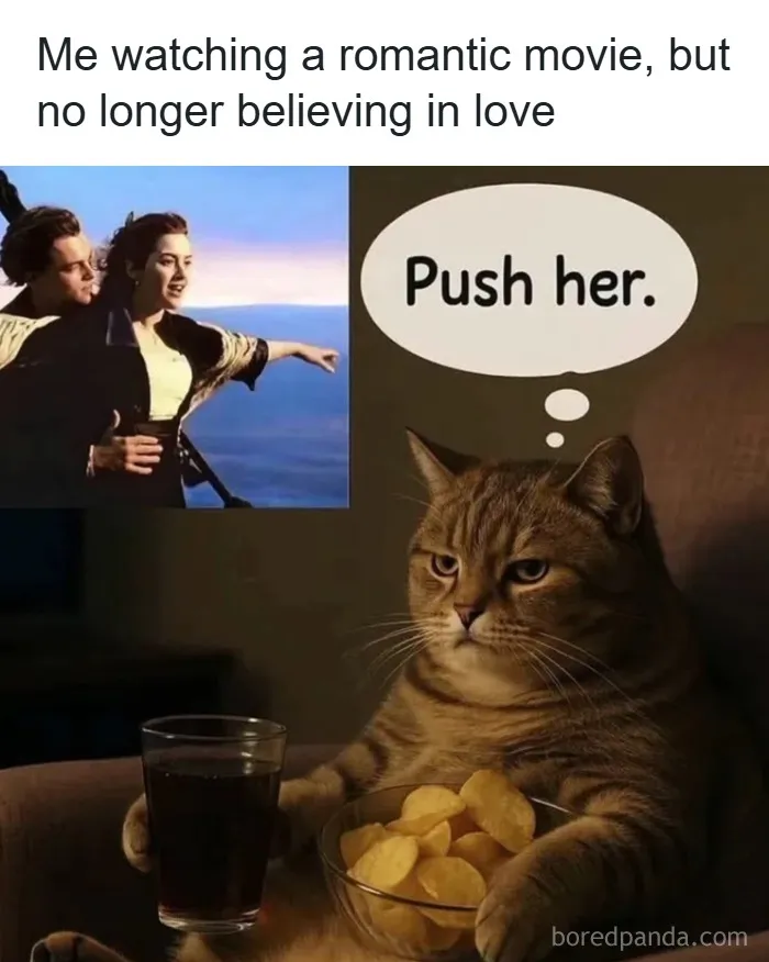 'Give Me Cat Memes': 50 Funny Cat Memes To Brighten Your And Your Pet’s Day