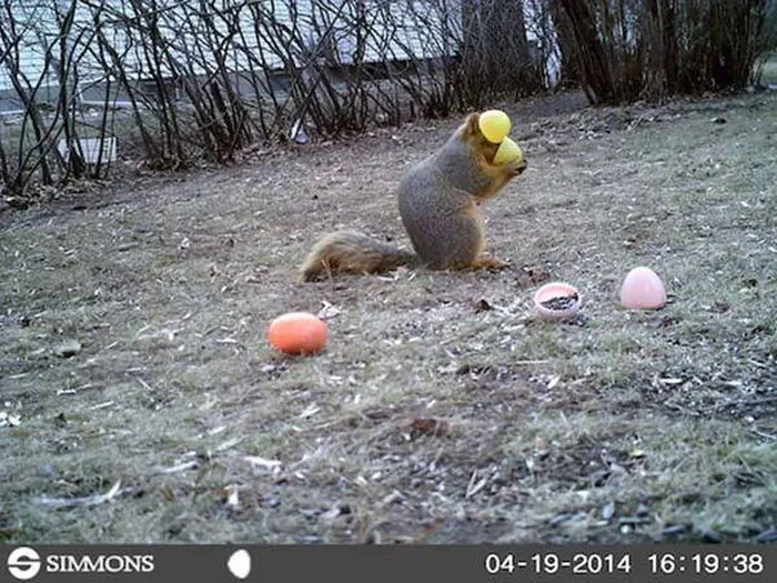An Easter Adventure
