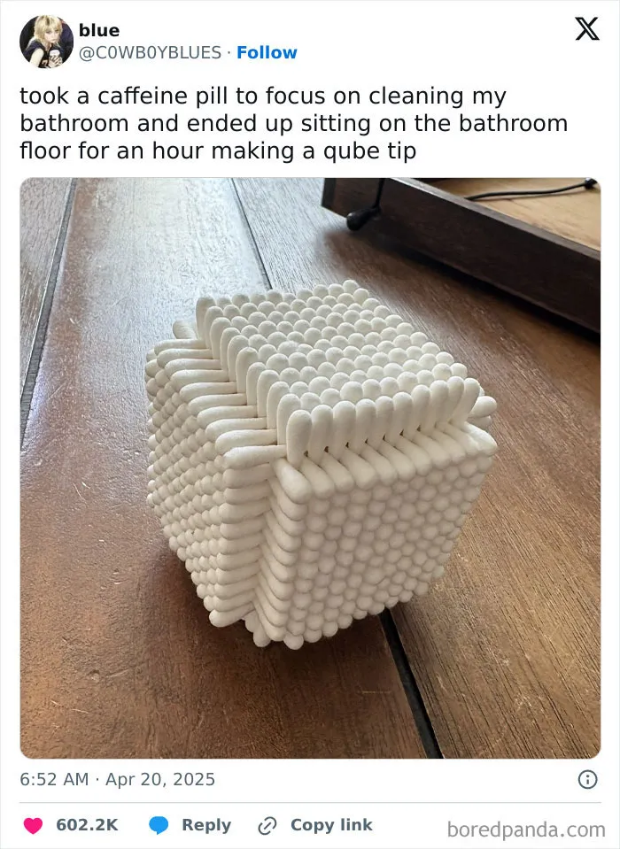 We’ve Gathered Funny Posts From X, Here Are The 50 Best Ones